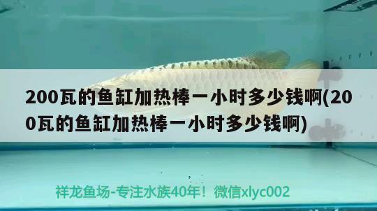 200瓦的鱼缸加热棒一小时多少钱啊(200瓦的鱼缸加热棒一小时多少钱啊) 观赏鱼