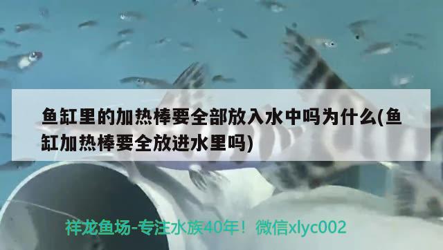 鱼缸里的加热棒要全部放入水中吗为什么(鱼缸加热棒要全放进水里吗)