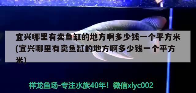 宜兴哪里有卖鱼缸的地方啊多少钱一个平方米(宜兴哪里有卖鱼缸的地方啊多少钱一个平方米) 南美异型鱼