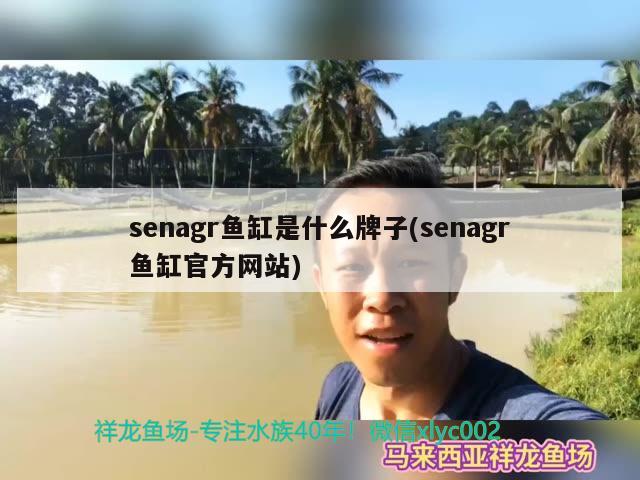 senagr鱼缸是什么牌子(senagr鱼缸官方网站)