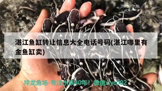 湛江鱼缸转让信息大全电话号码(湛江哪里有金鱼缸卖) 罗汉鱼