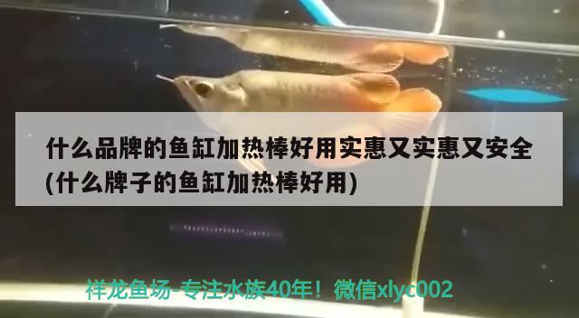 什么品牌的鱼缸加热棒好用实惠又实惠又安全(什么牌子的鱼缸加热棒好用) 鱼缸风水