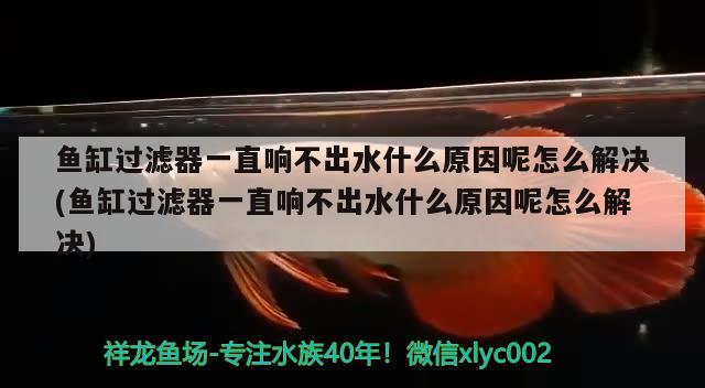 鱼缸过滤器一直响不出水什么原因呢怎么解决(鱼缸过滤器一直响不出水什么原因呢怎么解决) 帝王三间鱼