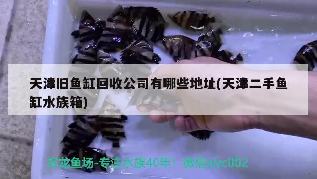 天津旧鱼缸回收公司有哪些地址(天津二手鱼缸水族箱) 鱼缸/水族箱