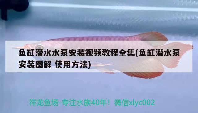 鱼缸潜水水泵安装视频教程全集(鱼缸潜水泵安装图解使用方法)