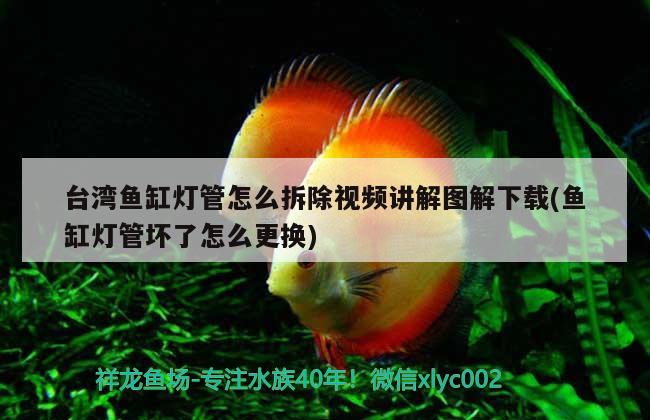 台湾鱼缸灯管怎么拆除视频讲解图解下载(鱼缸灯管坏了怎么更换) 翡翠凤凰鱼