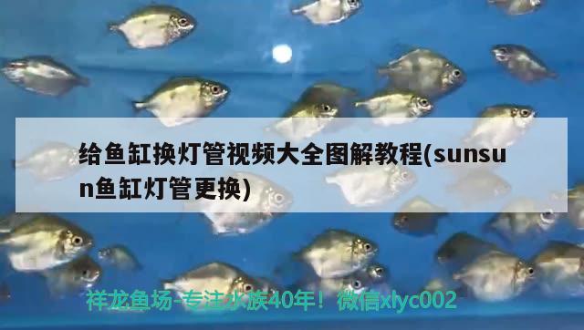 给鱼缸换灯管视频大全图解教程(sunsun鱼缸灯管更换) 肥料