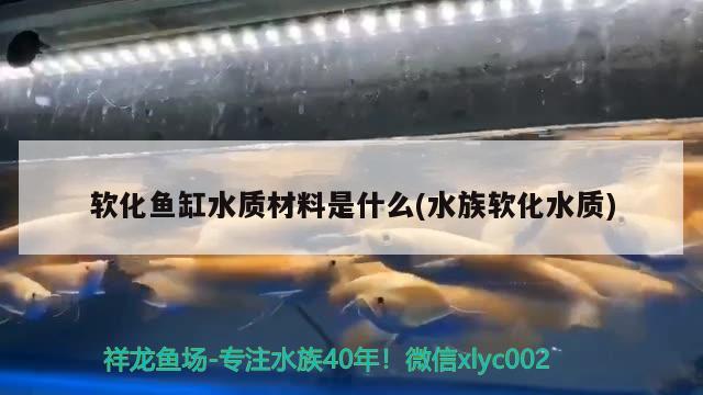 软化鱼缸水质材料是什么(水族软化水质) 金龙鱼粮