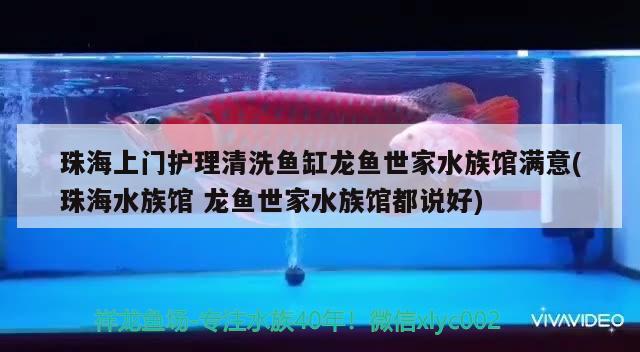 珠海上门护理清洗鱼缸龙鱼世家水族馆满意(珠海水族馆龙鱼世家水族馆都说好) 非洲金鼓鱼