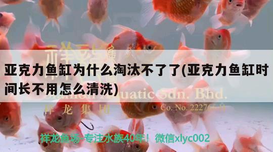 亚克力鱼缸为什么淘汰不了了(亚克力鱼缸时间长不用怎么清洗) 鱼缸净水剂