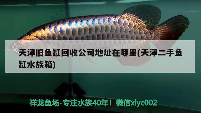 天津旧鱼缸回收公司地址在哪里(天津二手鱼缸水族箱) 鱼缸/水族箱