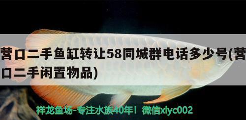 营口二手鱼缸转让58同城群电话多少号(营口二手闲置物品)