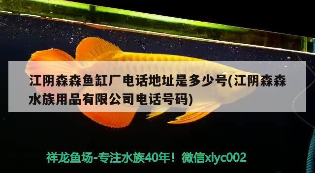 江阴森森鱼缸厂电话地址是多少号(江阴森森水族用品有限公司电话号码) 水族用品