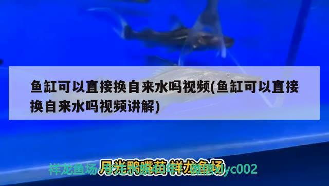 鱼缸可以直接换自来水吗视频(鱼缸可以直接换自来水吗视频讲解)