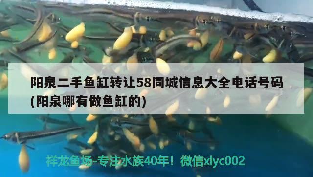 阳泉二手鱼缸转让58同城信息大全电话号码(阳泉哪有做鱼缸的)