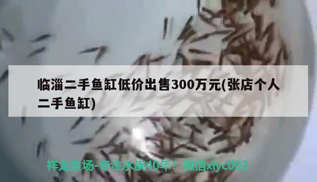 临淄二手鱼缸低价出售300万元(张店个人二手鱼缸)