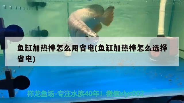 鱼缸加热棒怎么用省电(鱼缸加热棒怎么选择省电)