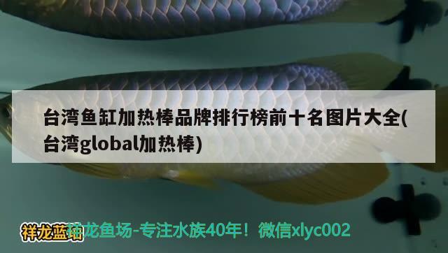 台湾鱼缸加热棒品牌排行榜前十名图片大全(台湾global加热棒) 白子银龙鱼苗