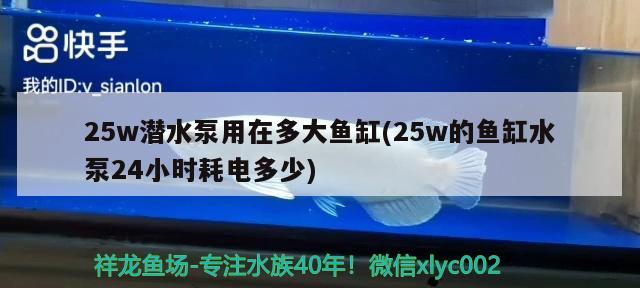 25w潜水泵用在多大鱼缸(25w的鱼缸水泵24小时耗电多少)