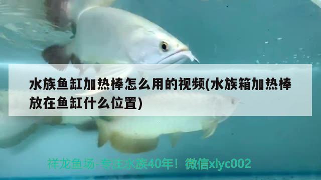 水族鱼缸加热棒怎么用的视频(水族箱加热棒放在鱼缸什么位置)