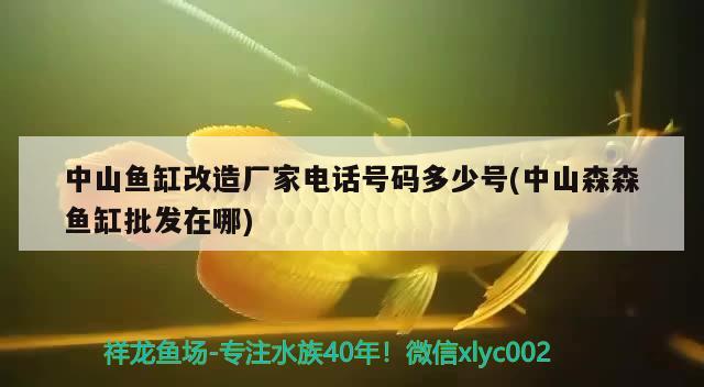 中山鱼缸改造厂家电话号码多少号(中山森森鱼缸批发在哪) 祥龙龙鱼鱼粮