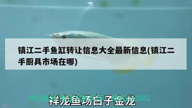 镇江二手鱼缸转让信息大全最新信息(镇江二手厨具市场在哪) 星点金龙鱼