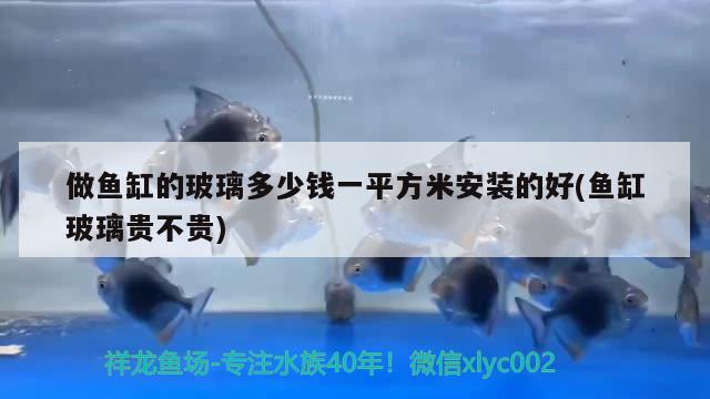 做鱼缸的玻璃多少钱一平方米安装的好(鱼缸玻璃贵不贵)