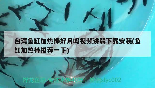 台湾鱼缸加热棒好用吗视频讲解下载安装(鱼缸加热棒推荐一下)