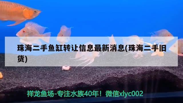 珠海二手鱼缸转让信息最新消息(珠海二手旧货)