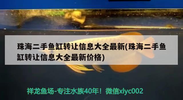 珠海二手鱼缸转让信息大全最新(珠海二手鱼缸转让信息大全最新价格) 粗线银版鱼