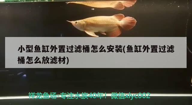 小型鱼缸外置过滤桶怎么安装(鱼缸外置过滤桶怎么放滤材) 印尼红龙鱼