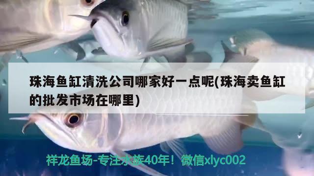 珠海鱼缸清洗公司哪家好一点呢(珠海卖鱼缸的批发市场在哪里)