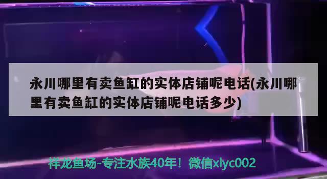 永川哪里有卖鱼缸的实体店铺呢电话(永川哪里有卖鱼缸的实体店铺呢电话多少)