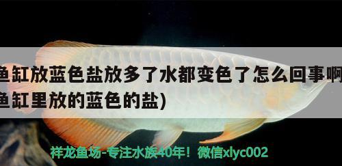 鱼缸放蓝色盐放多了水都变色了怎么回事啊(鱼缸里放的蓝色的盐) 金老虎鱼