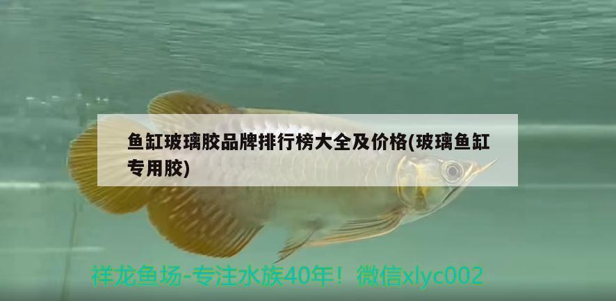 鱼缸玻璃胶品牌排行榜大全及价格(玻璃鱼缸专用胶) 祥龙水族滤材/器材