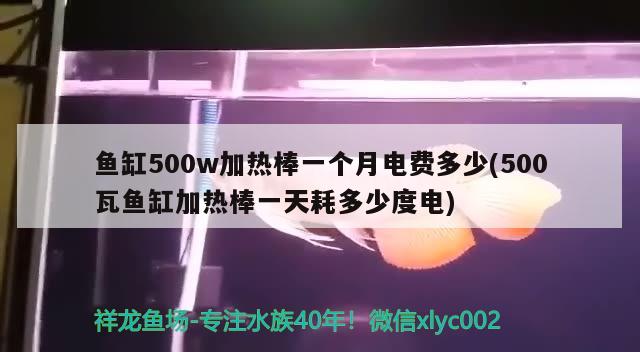 鱼缸500w加热棒一个月电费多少(500瓦鱼缸加热棒一天耗多少度电) 朱巴利鱼