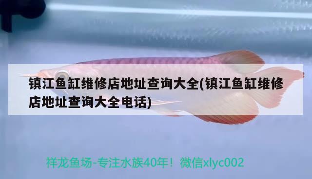 镇江鱼缸维修店地址查询大全(镇江鱼缸维修店地址查询大全电话) 圣菲埃及鱼