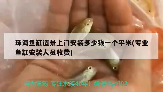 珠海鱼缸造景上门安装多少钱一个平米(专业鱼缸安装人员收费)