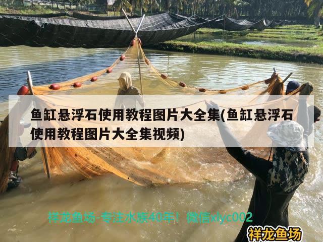 鱼缸悬浮石使用教程图片大全集(鱼缸悬浮石使用教程图片大全集视频)