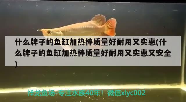 什么牌子的鱼缸加热棒质量好耐用又实惠(什么牌子的鱼缸加热棒质量好耐用又实惠又安全)