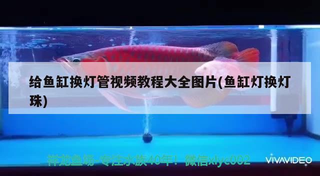 给鱼缸换灯管视频教程大全图片(鱼缸灯换灯珠) 雪龙鱼