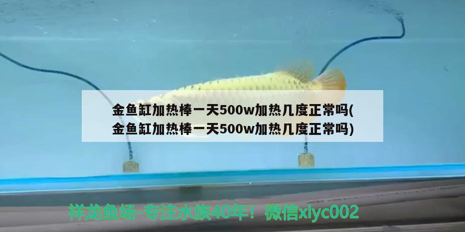 金鱼缸加热棒一天500w加热几度正常吗(金鱼缸加热棒一天500w加热几度正常吗) 眼斑鱼