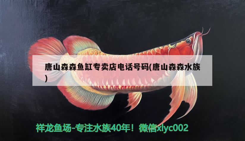 唐山森森鱼缸专卖店电话号码(唐山森森水族) 水族品牌