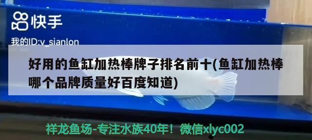 好用的鱼缸加热棒牌子排名前十(鱼缸加热棒哪个品牌质量好百度知道)