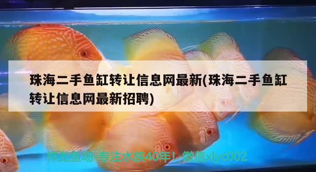 珠海二手鱼缸转让信息网最新(珠海二手鱼缸转让信息网最新招聘)