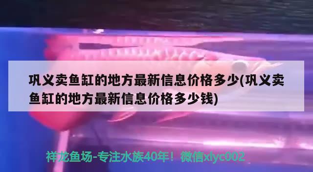 巩义卖鱼缸的地方最新信息价格多少(巩义卖鱼缸的地方最新信息价格多少钱)