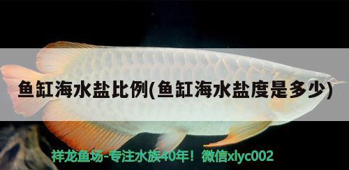 鱼缸海水盐比例(鱼缸海水盐度是多少)