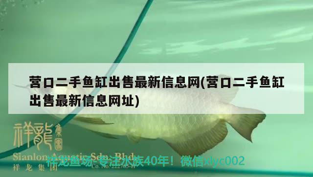 营口二手鱼缸出售最新信息网(营口二手鱼缸出售最新信息网址)