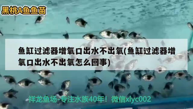 鱼缸过滤器增氧口出水不出氧(鱼缸过滤器增氧口出水不出氧怎么回事) 红白锦鲤鱼