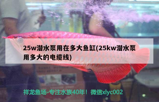 25w潜水泵用在多大鱼缸(25kw潜水泵用多大的电缆线)